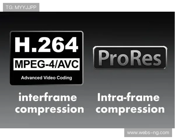 本季度H.266编码标准的初步应用 极大地优化了多端协作的存储与分发 本季度H.266编码标准的初步应用 极大地优化了多端协作的存储与分发